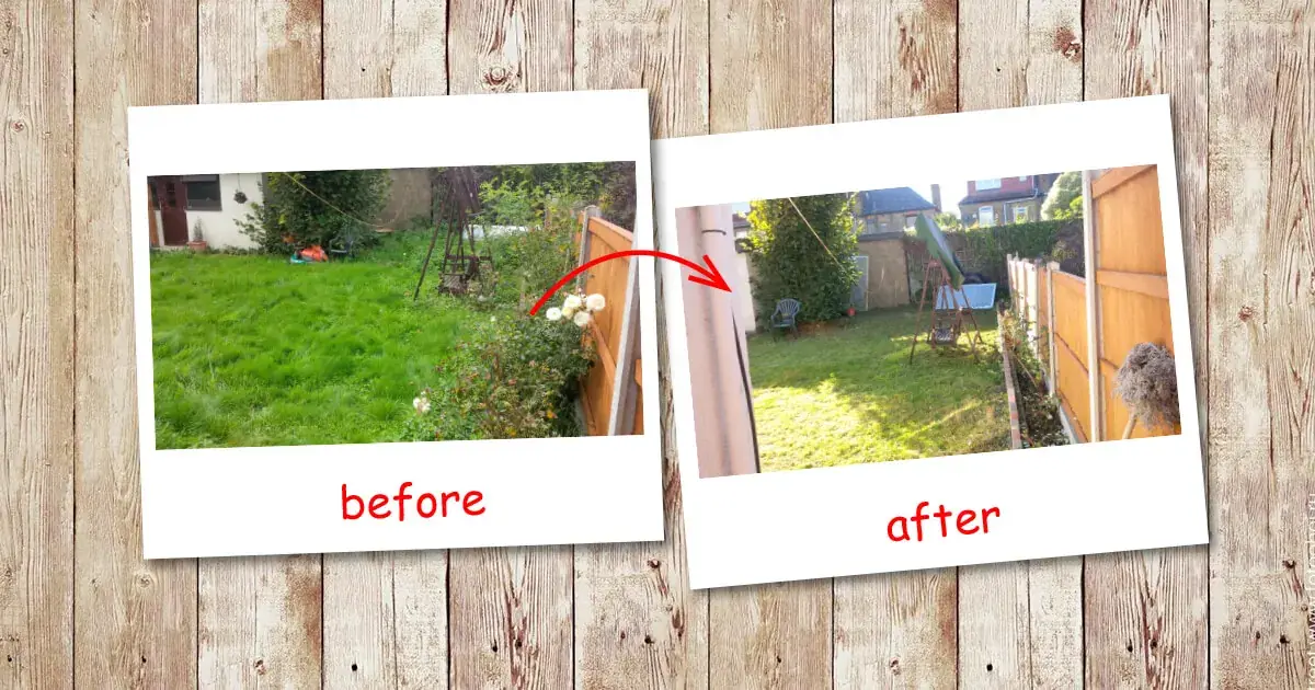 Garden clearance in Golders Green