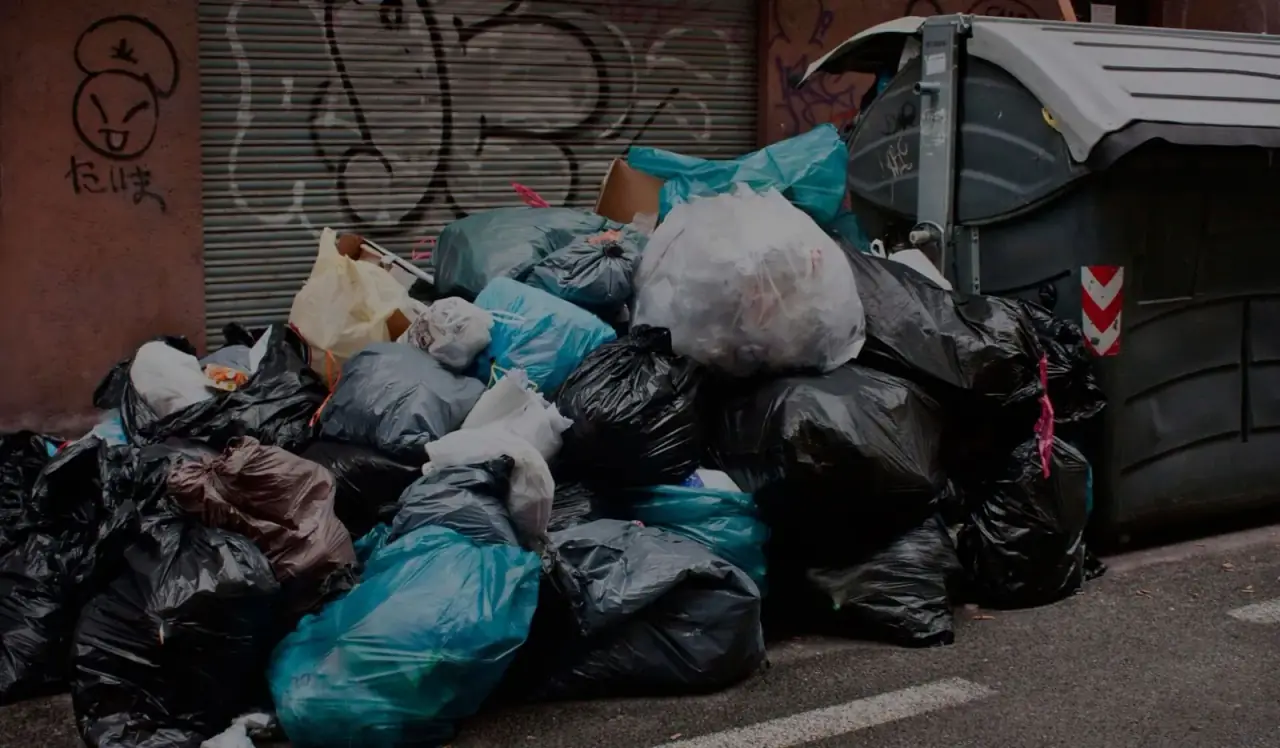 Commercial Waste work by City Junk and Gardening