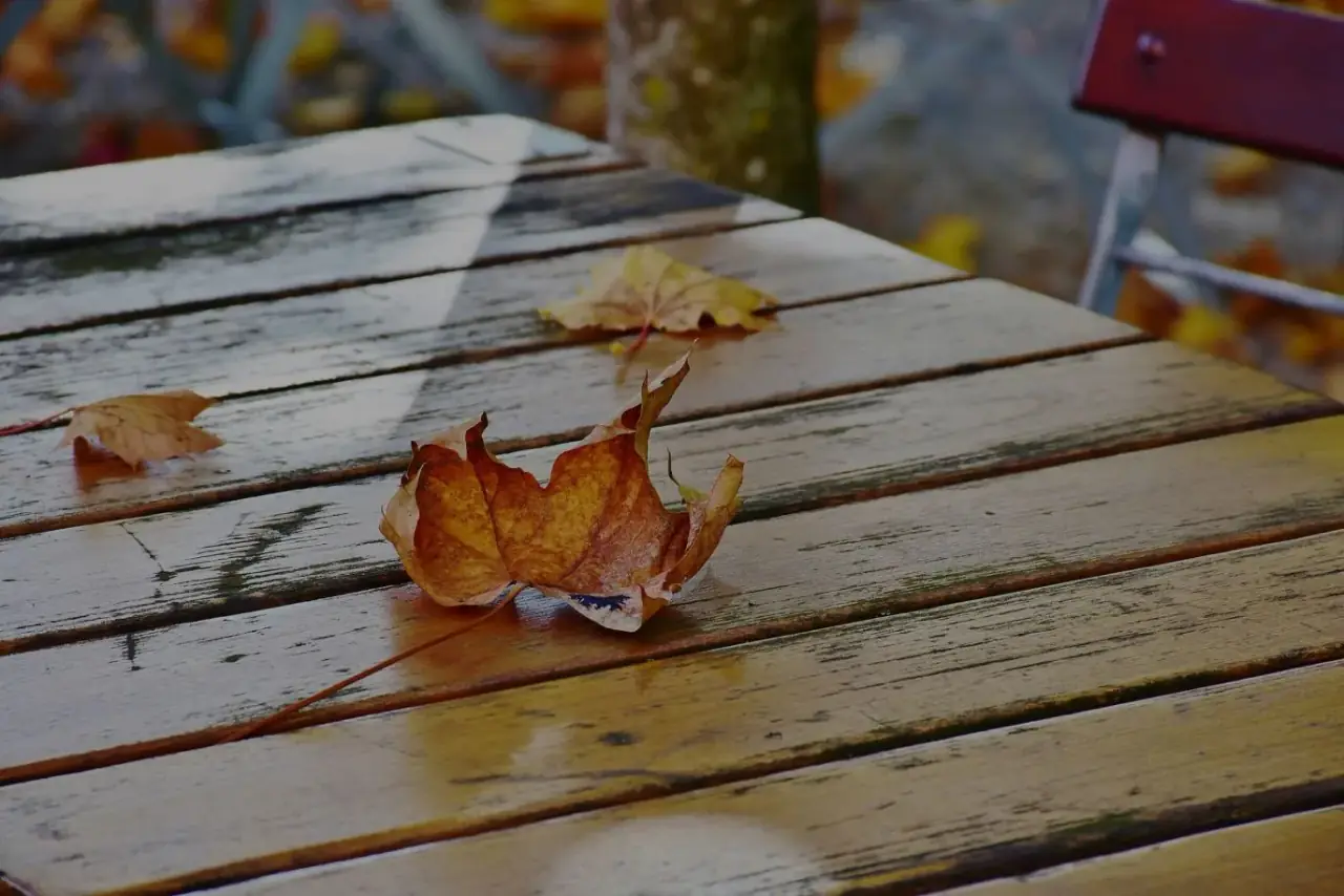 The Simple Way To Prepare Your Home for Autumn & Winter