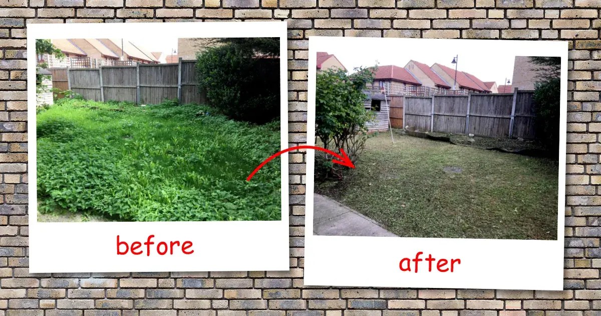 Biggin Hill gardening services