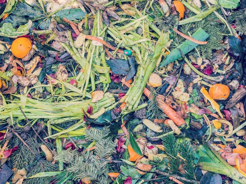 Compost