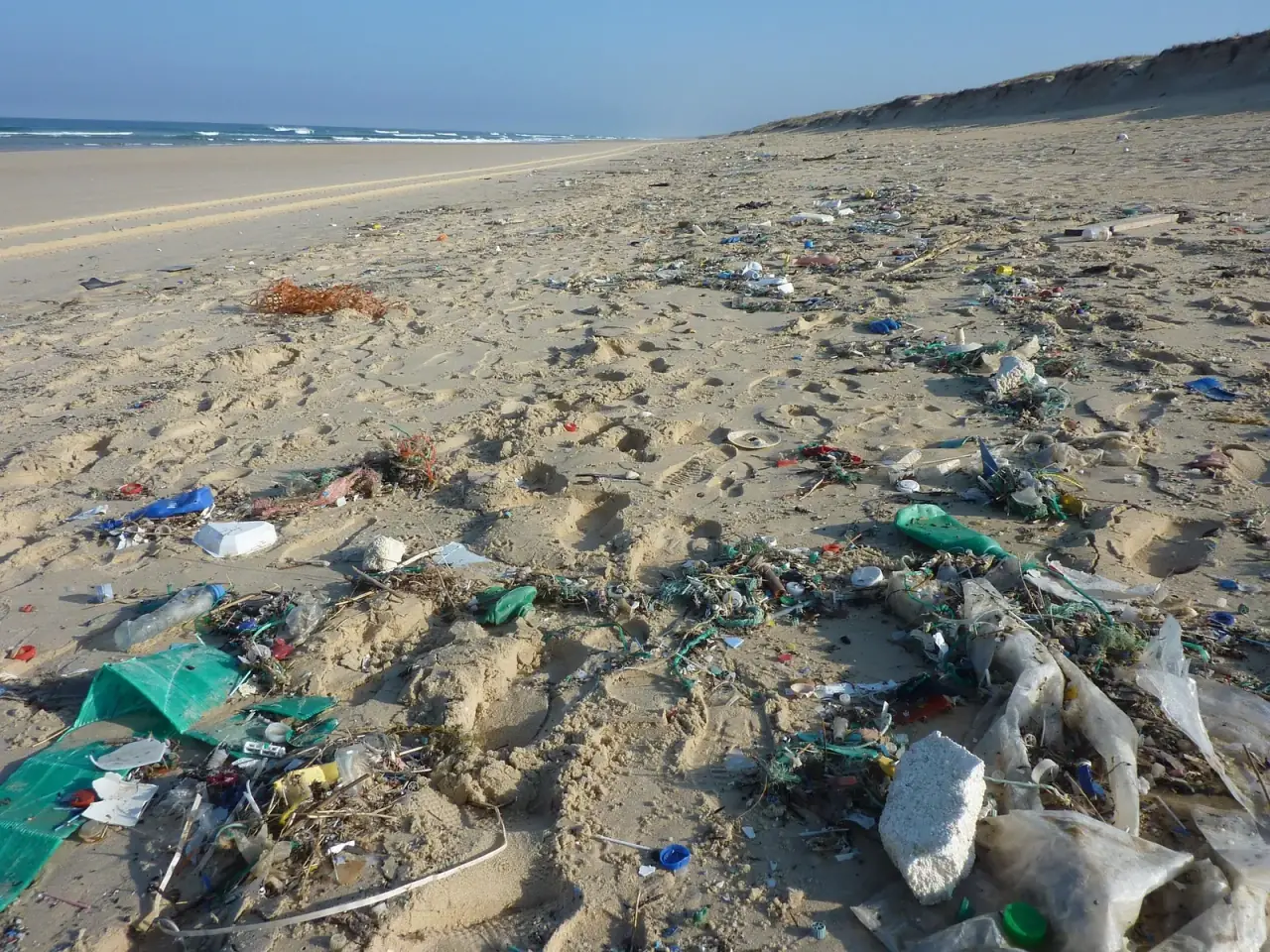 Waste & Sea