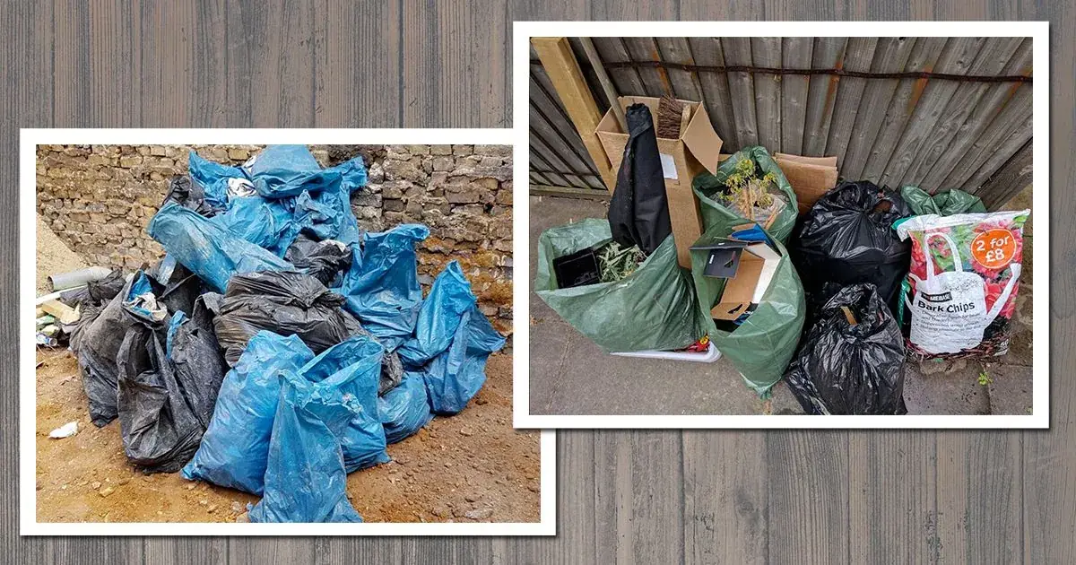 Clapham Common Rubbish Collection